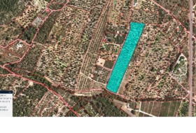 Alcanar 19288&nbsp;м²