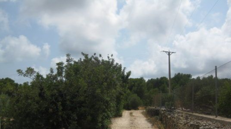 Tarragona - Alcanar - 19288m2
