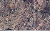 Terreny no urbanitzable en venda a la España, Alcanar, ref.: TR110650 foto