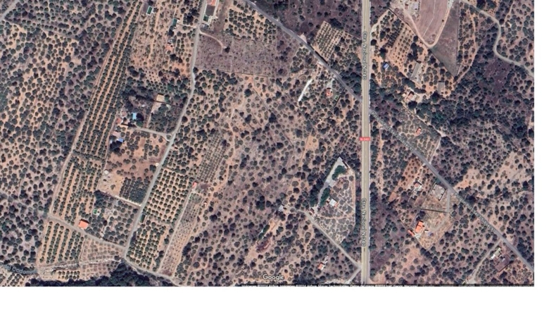 Tarragona - Alcanar - 19288m2