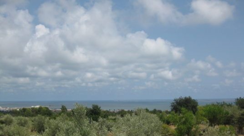 Tarragona - Alcanar - 19288m2