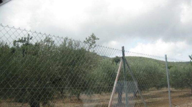 Tarragona - Alcanar - 19288m2