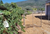 Finca rústica en venda a la España, les Coves de Vinromà, ref.: TR342406 foto