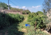 Finca rústica en venda a la España, les Coves de Vinromà, ref.: TR342406 foto