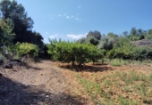 Finca rústica en venda a la España, les Coves de Vinromà, ref.: TR342406 foto
