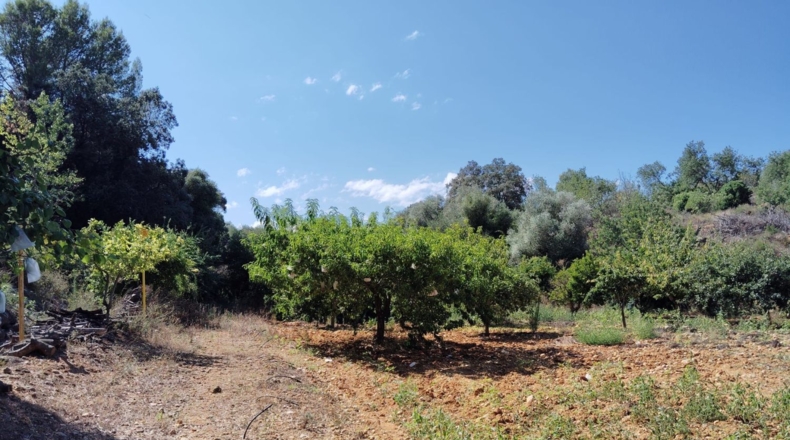 Castellon - Куэвас де Винрома - 24700m2