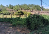 Finca rústica en venda a la España, les Coves de Vinromà, ref.: TR342406 foto