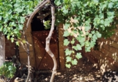 Finca rústica en venda a la España, les Coves de Vinromà, ref.: TR342406 foto