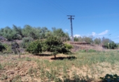 Finca rústica en venda a la España, les Coves de Vinromà, ref.: TR342406 foto