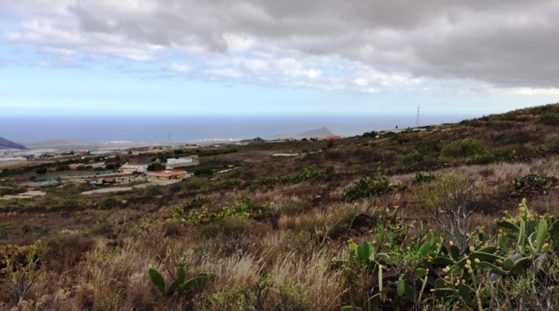 Santa Cruz de Tenerife - Chimiche - 16495m2