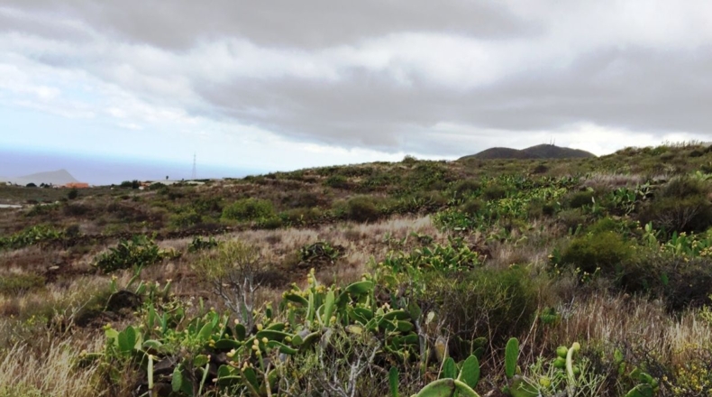 Santa Cruz de Tenerife - Chimiche - 16495m2