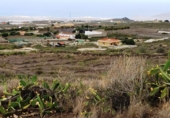 Terreny no urbanitzable en venda a Granadilla de Abona ref.: TR22172 foto