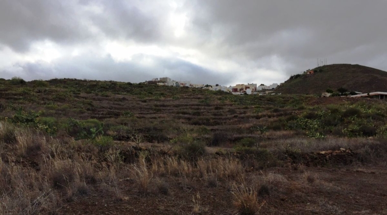 Santa Cruz de Tenerife - Chimiche - 16495m2
