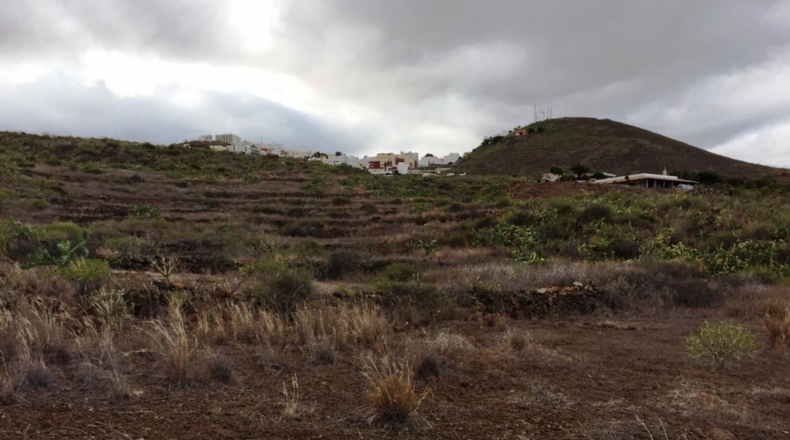 Santa Cruz de Tenerife - Chimiche - 16495m2