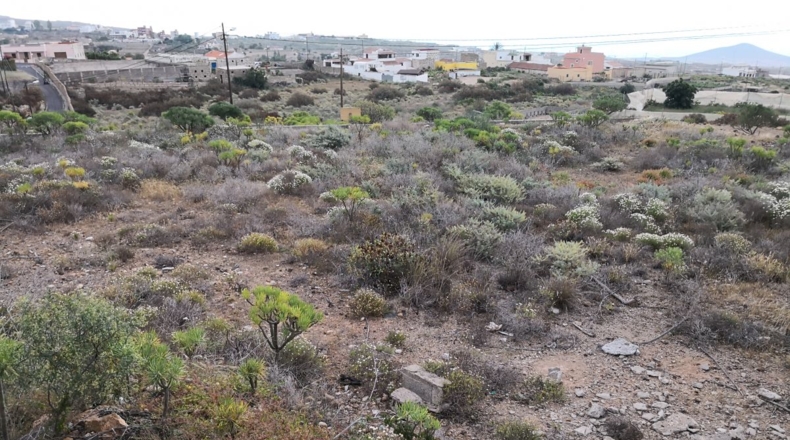 Santa Cruz de Tenerife - El Draguito - 1046m2