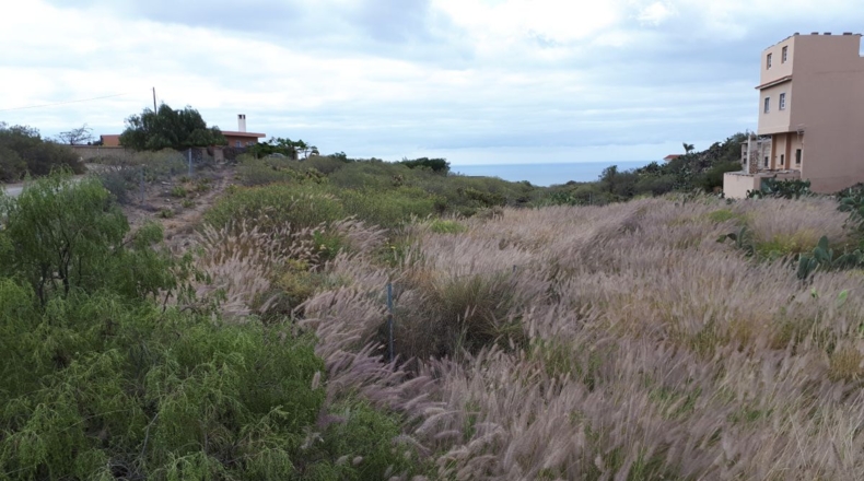 Santa Cruz de Tenerife - San Isidro - 1688m2