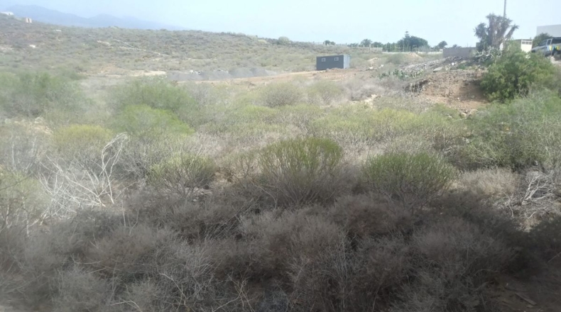 Santa Cruz de Tenerife - San Isidro - 117m2