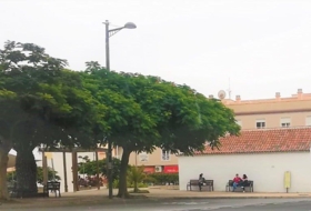 Foto 15