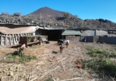 Finca rústica en venda a Granadilla de Abona ref.: TR37156 foto