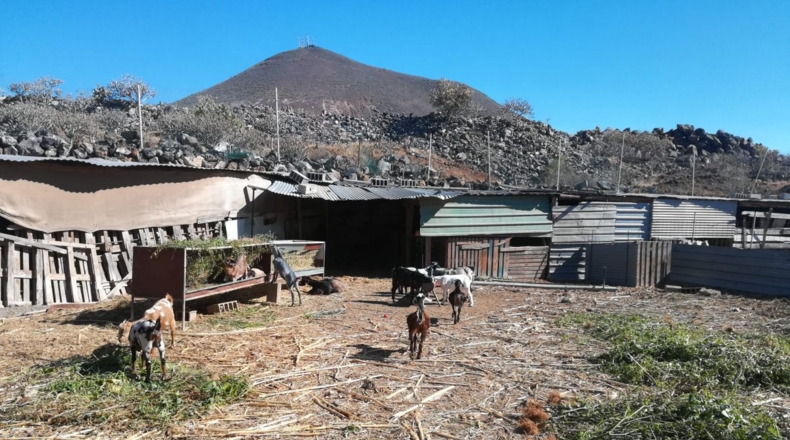 Santa Cruz de Tenerife - Atogo - 4045m2