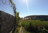 Finca rústica en venda a Granadilla de Abona ref.: TR37156 foto
