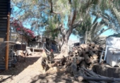 Finca rústica en venda a Granadilla de Abona ref.: TR37156 foto
