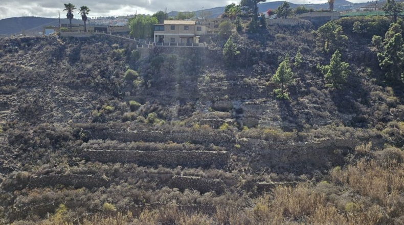 Santa Cruz de Tenerife - Granadilla de Abona - 884m2