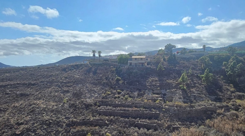 Santa Cruz de Tenerife - Granadilla de Abona - 884m2