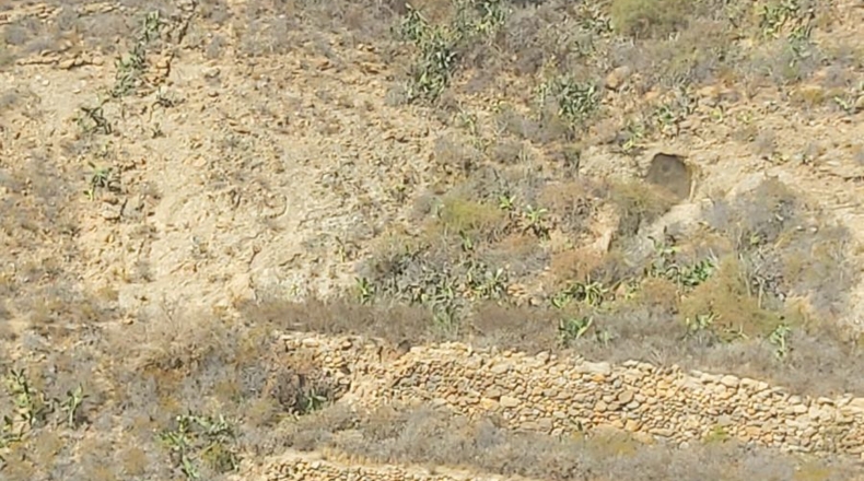 Santa Cruz de Tenerife - Granadilla de Abona - 884m2