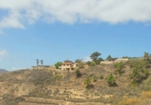 Terreny no urbanitzable en venda a Granadilla de Abona ref.: TR109918 foto