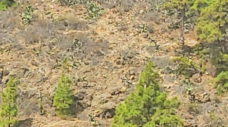 Santa Cruz de Tenerife - Granadilla de Abona - 884m2