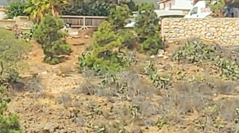 Santa Cruz de Tenerife - Granadilla de Abona - 884m2