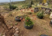 Finca rústica en venda a Granadilla de Abona ref.: TR76209 foto