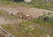 Finca rústica en venda a Granadilla de Abona ref.: TR76209 foto