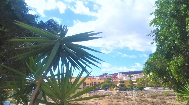 Santa Cruz de Tenerife - Urbanización Jardín del Atlántico - 494m2