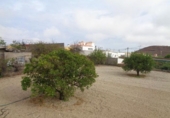 Земля на продажу у города Granadilla de Abona. Фото