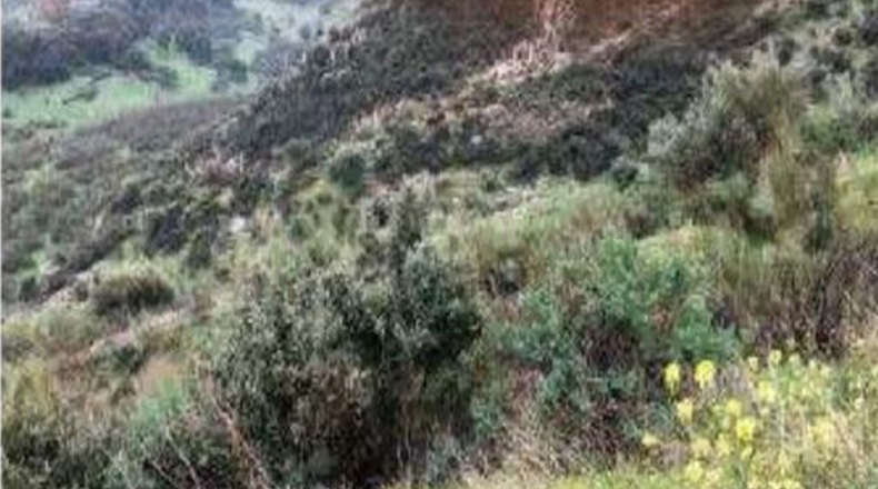 Málaga - Cortes de la Frontera - 7625m2