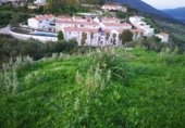 Parcel·la urbanitzable en venda a Cortes de la Frontera ref.: TR102725 foto