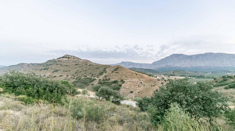 Málaga - Antequera - 1175m2