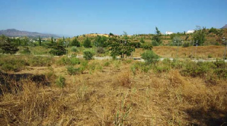 Málaga - Coín - 15036m2