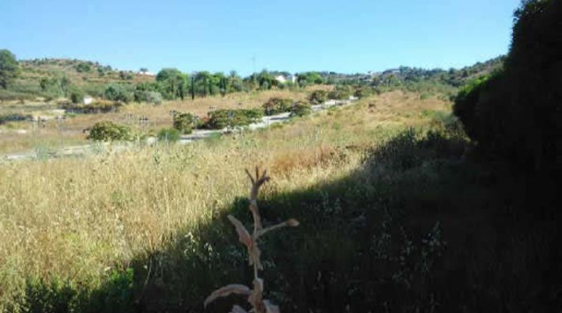 Málaga - Coín - 15036m2