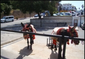 Xalet independent amb terreny en venda a Las Lomas de Mijas ref.: TR233459 foto