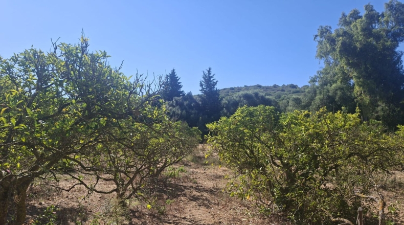 Cádiz - San Roque - 150m2