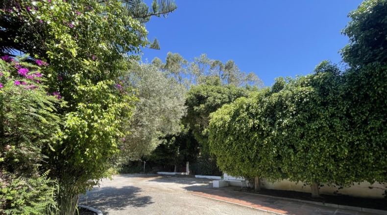 Cádiz - Algesires - 2180m2