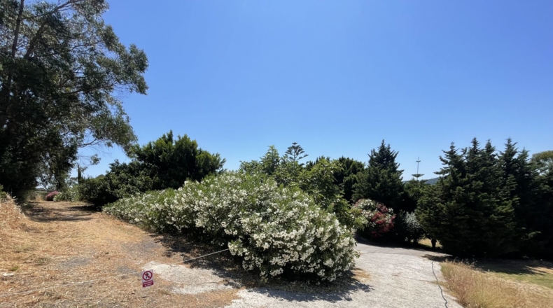 Cádiz - Algesires - 2180m2
