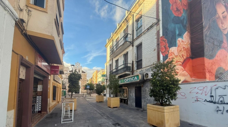 Cádiz - Algesires - 1164m2