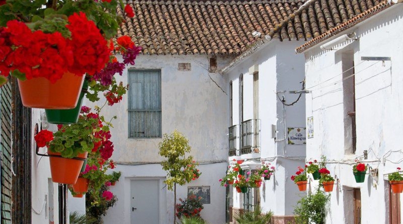Málaga - Estepona - 250m2