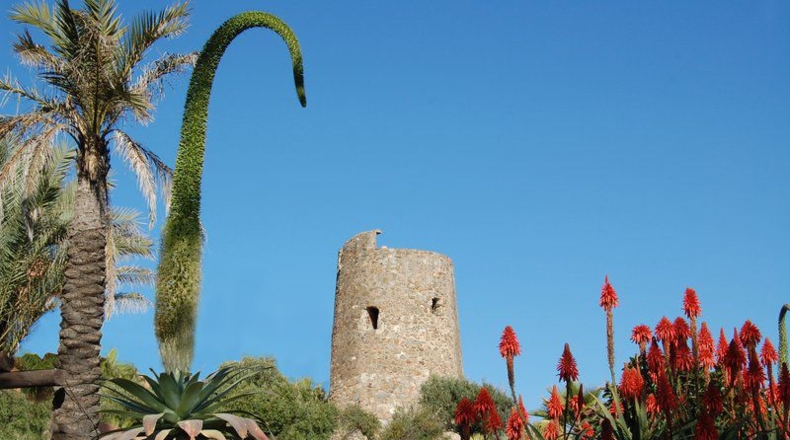 Málaga - Estepona - 250m2
