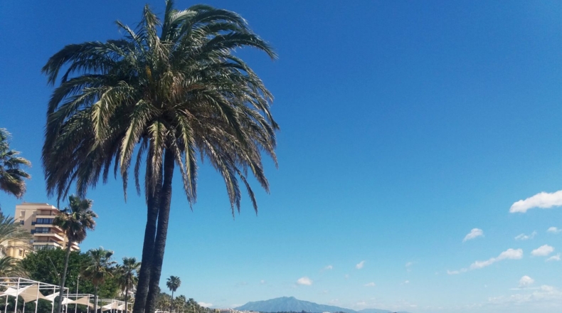 Málaga - Estepona - 250m2
