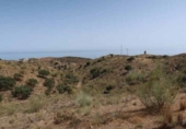 Parcela urbanizable en venta en Vélez-Málaga ref: TR352776 foto